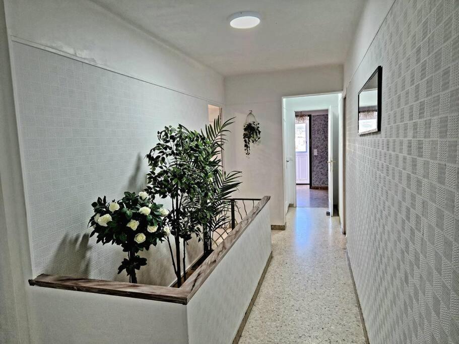Villa Marseille Dans Les Hauteurs Marselha Exterior foto